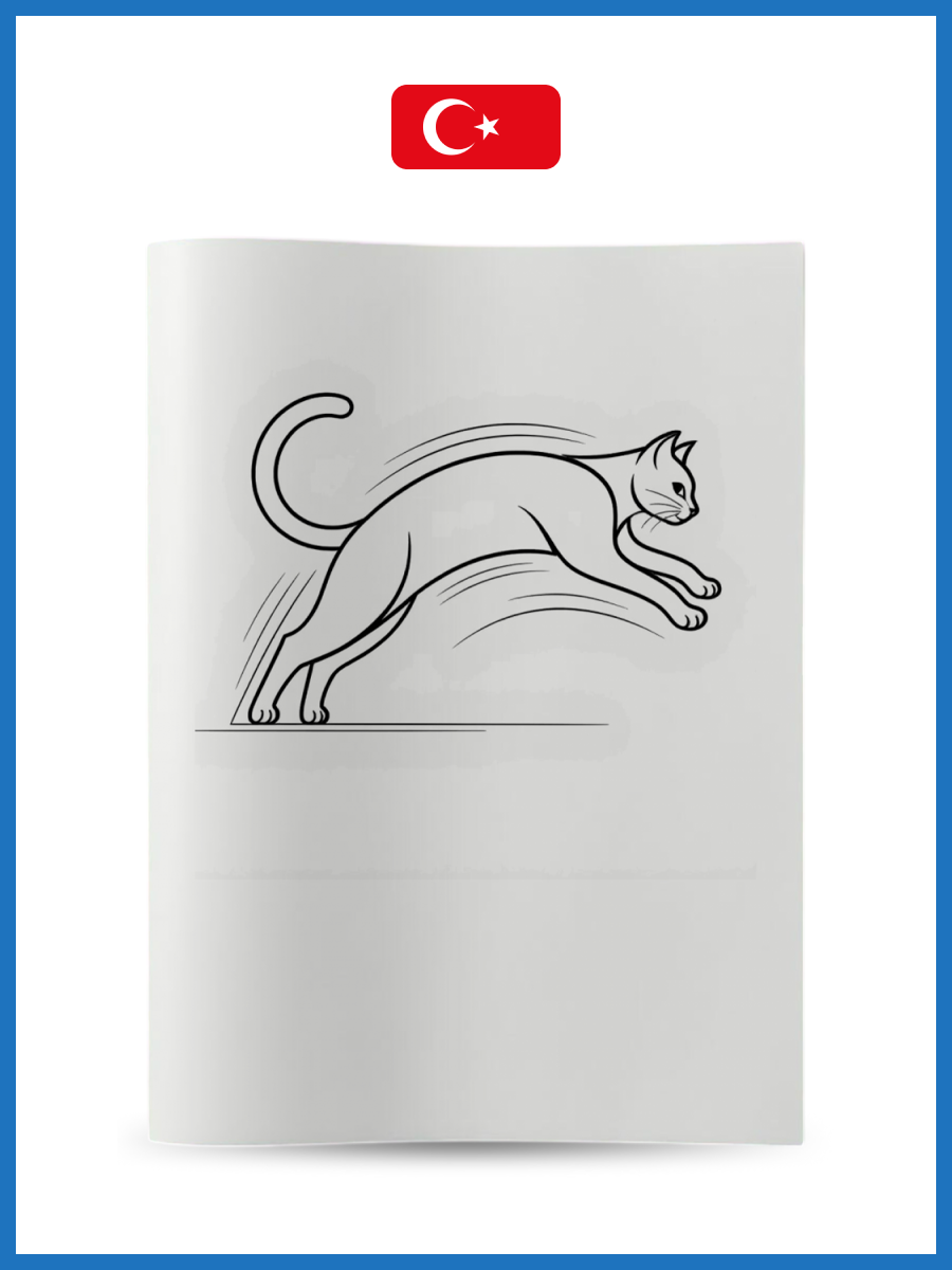 Animalstr2 (1) - Nicky Akademi