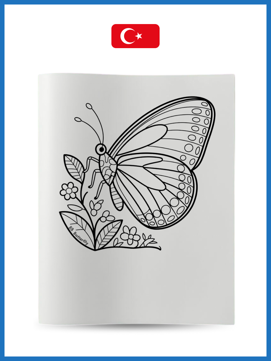 Butterfliestr2 - Nicky Akademi