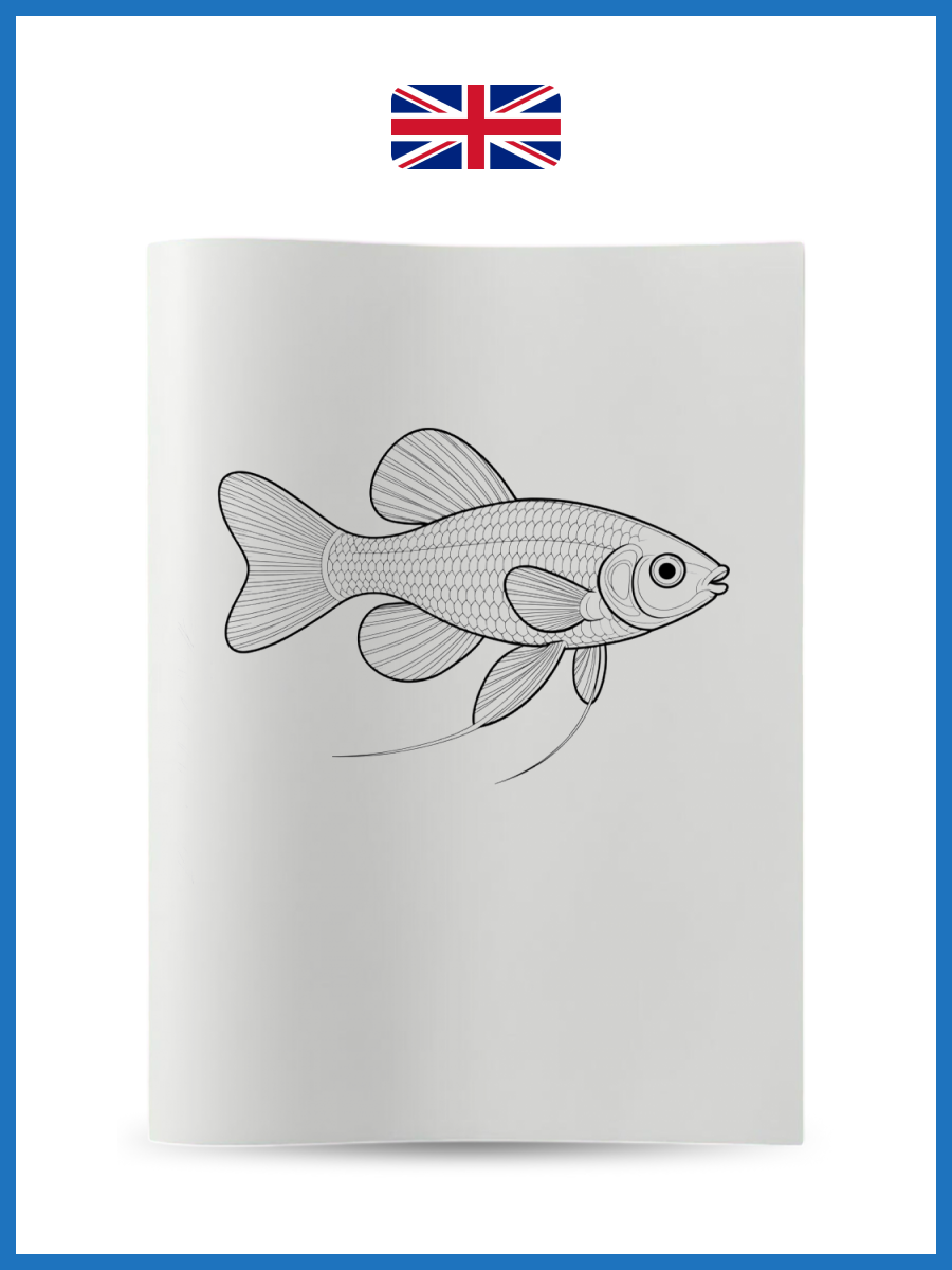 Fish5 - Nicky Akademi