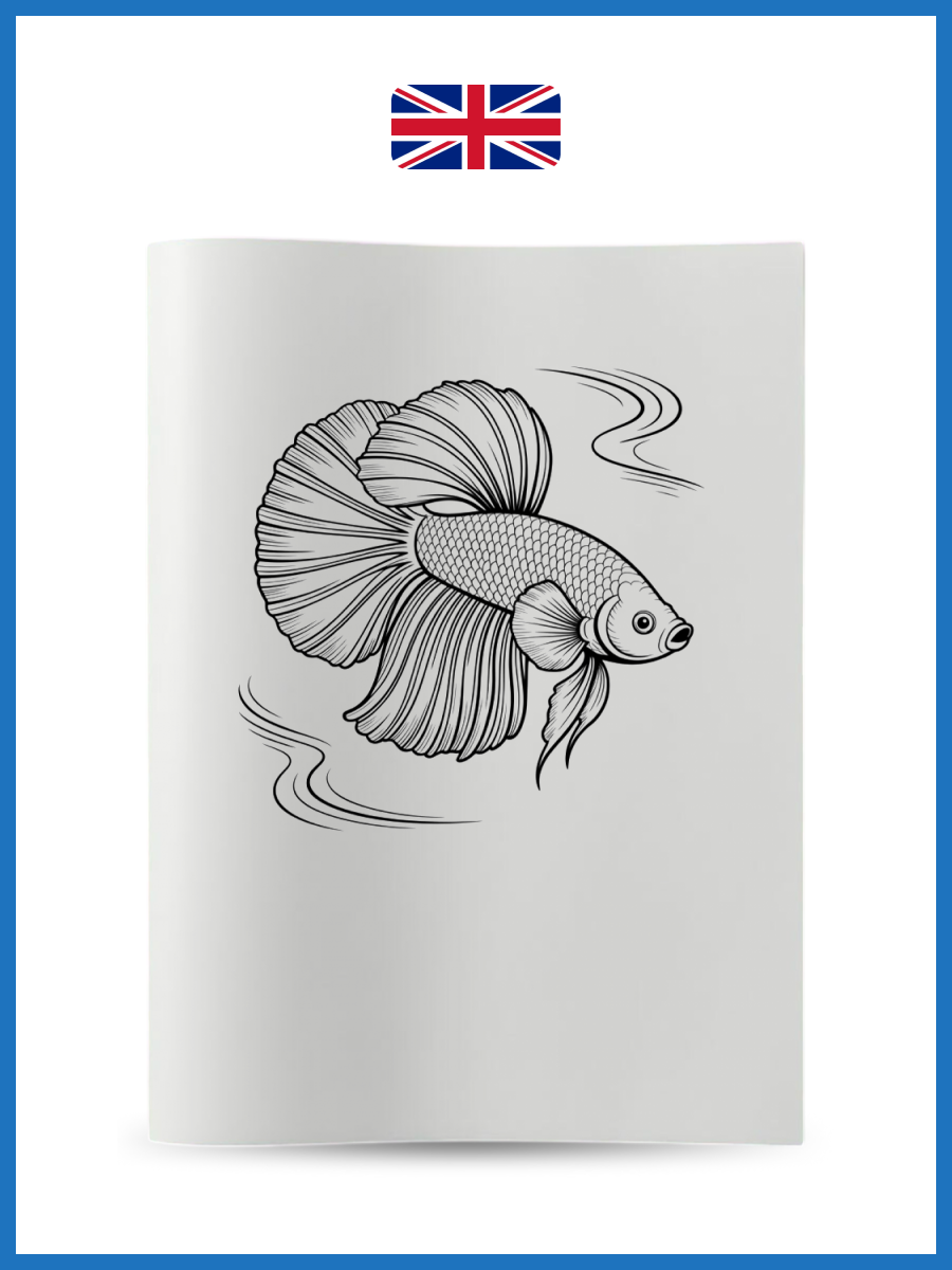 Fish6 - Nicky Akademi